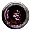 AnGel Artist Gel Pot - Feeling Fierce