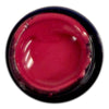 AnGel Artist Gel Pot - Feeling Fierce