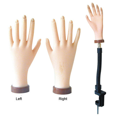 DL Pro - Manicure Hands with Bendable Holder